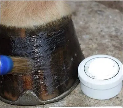 O&ugrave; ne faut-il pas graisser les sabots ?