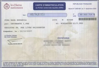 Que trouve-t-on principalement sur la carte d'immatriculation du cheval ?