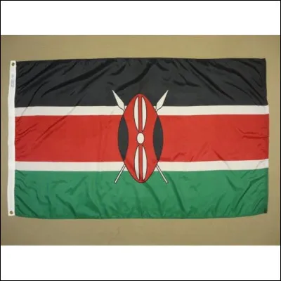 Quel pays poss&egrave;de ce drapeau ?