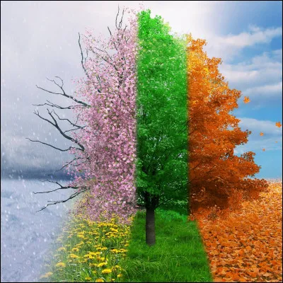 En France, quelle saison est synonyme de soleil ?