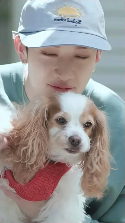 De quelle race est Berry, le chien de Bang Chan ?