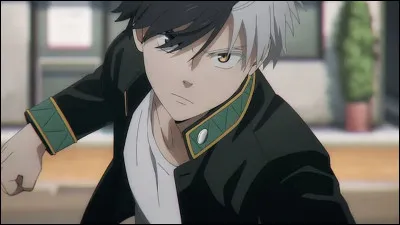 Je suis un anim&eacute; qui comporte des bagarres entre gangs.