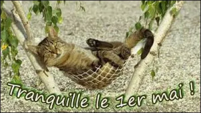 Quel est le nom de la plante embl&eacute;matique du 1er mai ?