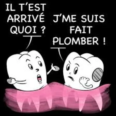 Combien de dents compte la dentition d'un adulte, sans compter les dents de sagesse ?