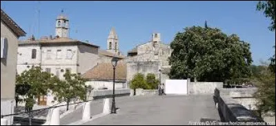 Nous commen&ccedil;ons notre promenade en Occitanie, &agrave; Aramon. Ville de l'arrondissement de N&icirc;mes, sur les bords du Rh&ocirc;ne, elle se situe dans le d&eacute;partement ...