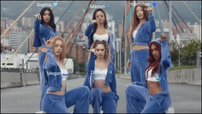 Quel est ton animal pr&eacute;f&eacute;r&eacute; ? ��