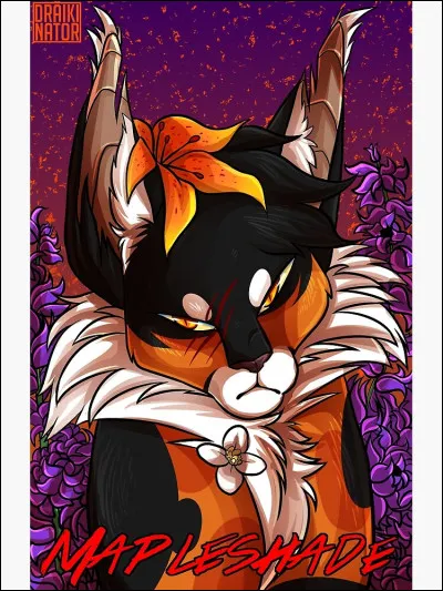 Comment les a-t-elle nomm&eacute;s ?