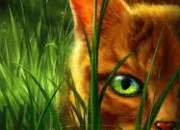 Quiz Les personnages LGDC du cycle 1 au cycle 4