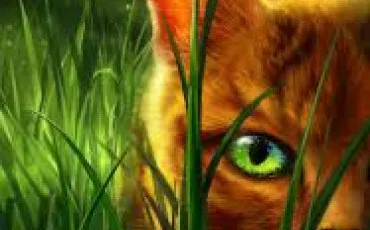 Quiz La guerre des clans