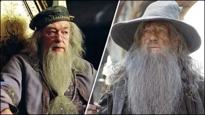 Vrai ou faux ?Les personnages de Albus Dumbledore et Gandalf sont jou&eacute;s par le m&ecirc;me acteur.