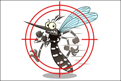 Vrai ou faux ?Un moustique poss&egrave;de 48 dents.