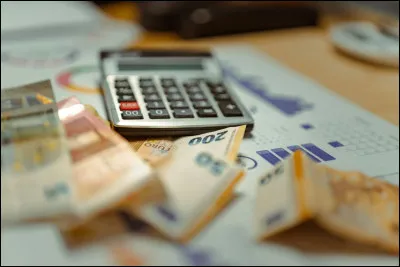 Quel animal est roux et agile ?