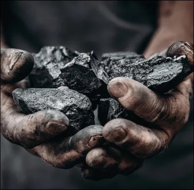 Quelle r&eacute;gion fran&ccedil;aise n'est pas r&eacute;put&eacute;e pour ses mines de charbon&nbsp; ?