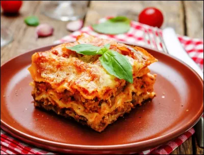 La p&acirc;te &agrave; lasagnes s'appelle "lasagne".