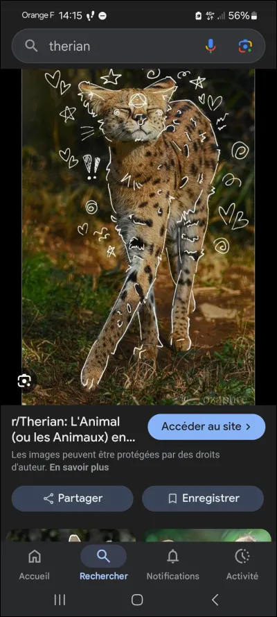 Si un ami ou un membre de ta famille te disait que tu ressembles &agrave; un therian, quelle serait ta r&eacute;action ?