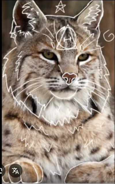 T'arrive-t-il d'avoir envie de grogner, feuler, aboyer, gazouiller ou faire une autre vocalise animale, sans vraiment de raison ?