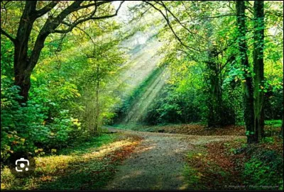 Te sens-tu proche de la nature ?