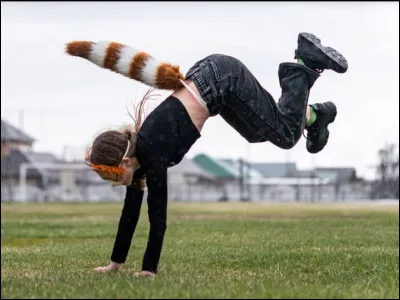 Pratiques-tu le quadrobic ?