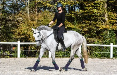 Qu'est-ce que la voltige ?