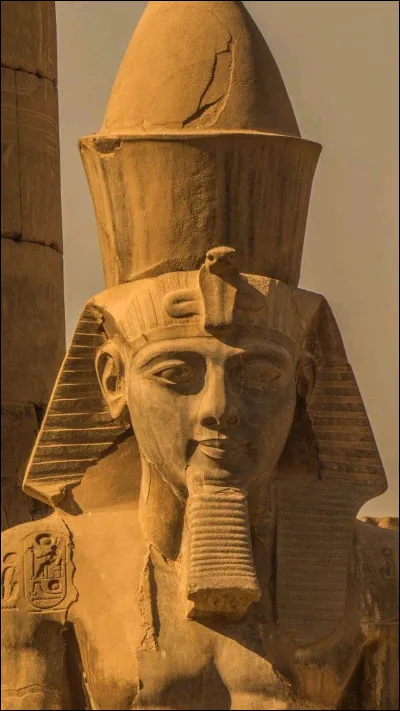 &Agrave; quel &acirc;ge meurt-il ?