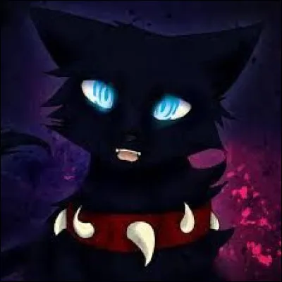 Que lui/leur dit-il ?