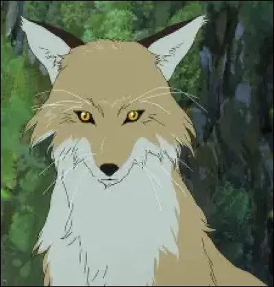 Ame va de plus en plus dans la for&ecirc;t pour retrouver un renard qui lui apprend tout sur la faune et la flore des lieux. Comment Ame appelle-t-il cet animal ?