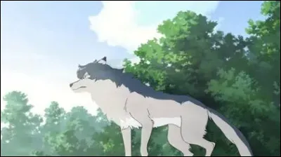 On finit sur celle-ci ! Suite &agrave; de fortes pluies, le Maitre ne peut plus veiller sur la for&ecirc;t. Que fait Ame ?