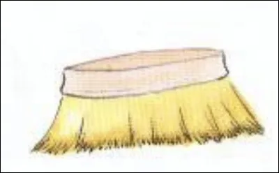 Quel est ce mat&eacute;riel de pansage ?