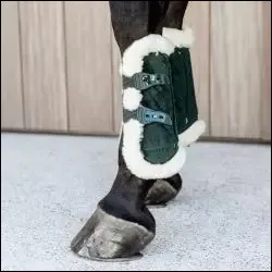 Quel est cet harnachement ?