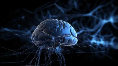 Quel est le nom de la membrane transparente, tr&egrave;s fine, enveloppant &eacute;troitement le cerveau et la moelle &eacute;pini&egrave;re ?