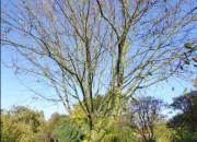 Test Quel est votre animal mythique ?