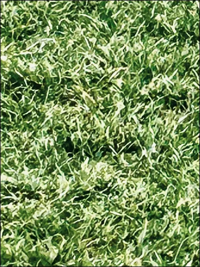 Quelle est ta couleur pr&eacute;f&eacute;r&eacute;e ?