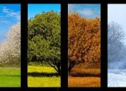 Quiz Culture g�n�rale avec les saisons