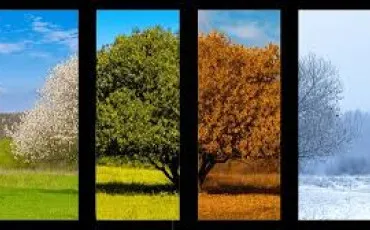 Quiz Culture g�n�rale