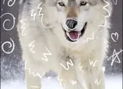 Test Es-tu th�rian ?