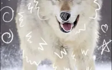 Quiz Test de personnalit�