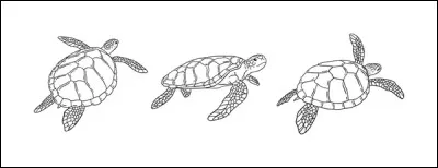 T'es-tu d&eacute;j&agrave; senti proche d'un animal ?