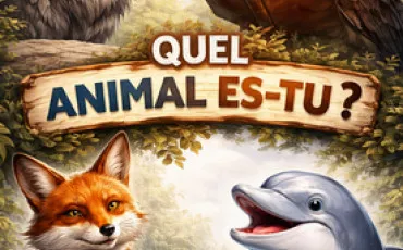 Quiz Test de personnalit�