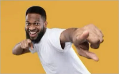 Si quelqu�un te d&eacute;crit, il dirait :