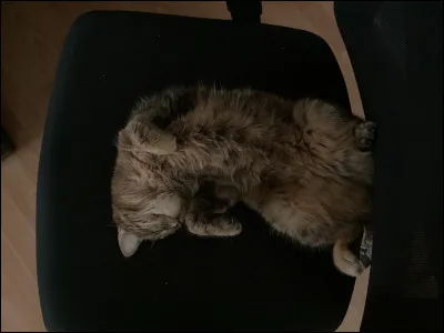 Si quelqu�un te critique, tu�