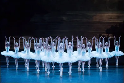 Comp&eacute;tez le titre de l'un des ballets les plus c&eacute;l&egrave;bres et les plus dans&eacute;s du r&eacute;pertoire classique ''Le lac...''.