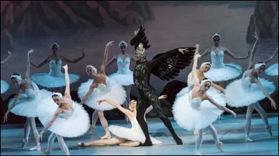 Quelle est cette compagnie de ballet de Moscou ?