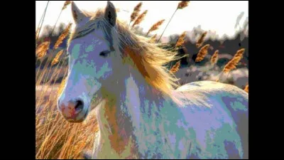 Comment se nomme ce cheval blanc dans la chanson d'Hugues Aufray ?