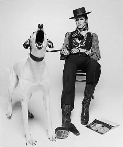 ''Diamond Dogs'' est un album sorti en 2000. Qui est l'interpr&egrave;te ?