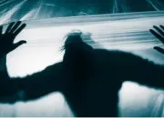 Test Psycho/patte ou socio/patte !