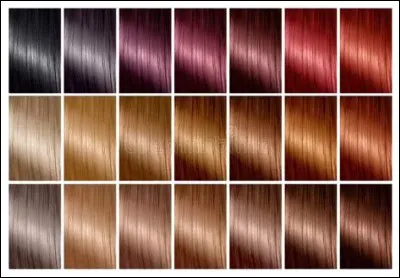 De quelle couleur sont tes cheveux ?