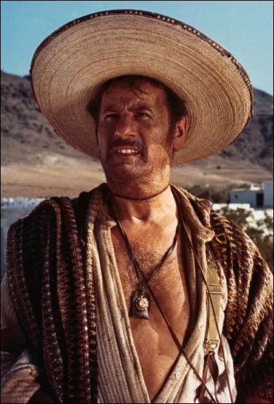 Je suis un des truands les plus c&eacute;l&egrave;bres du cin&eacute;ma am&eacute;ricain, mon surnom est "Tuco". Qui suis-je ?