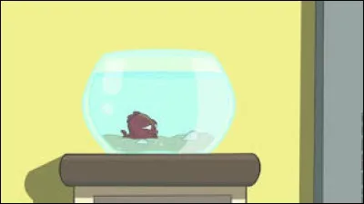 Comment s�appelle le poisson rouge de la maison ?