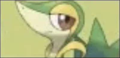 Qui est le Pok&eacute;mon de la 5G ?