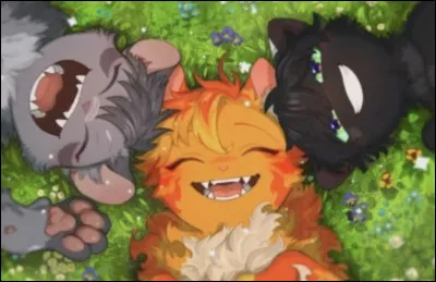 Qui pr&eacute;f&egrave;res-tu entre les trois ?